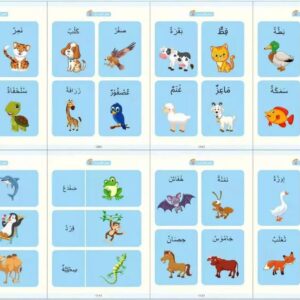 الكتاب السحري التعليمي للأطفال 4 كتب - Image 3